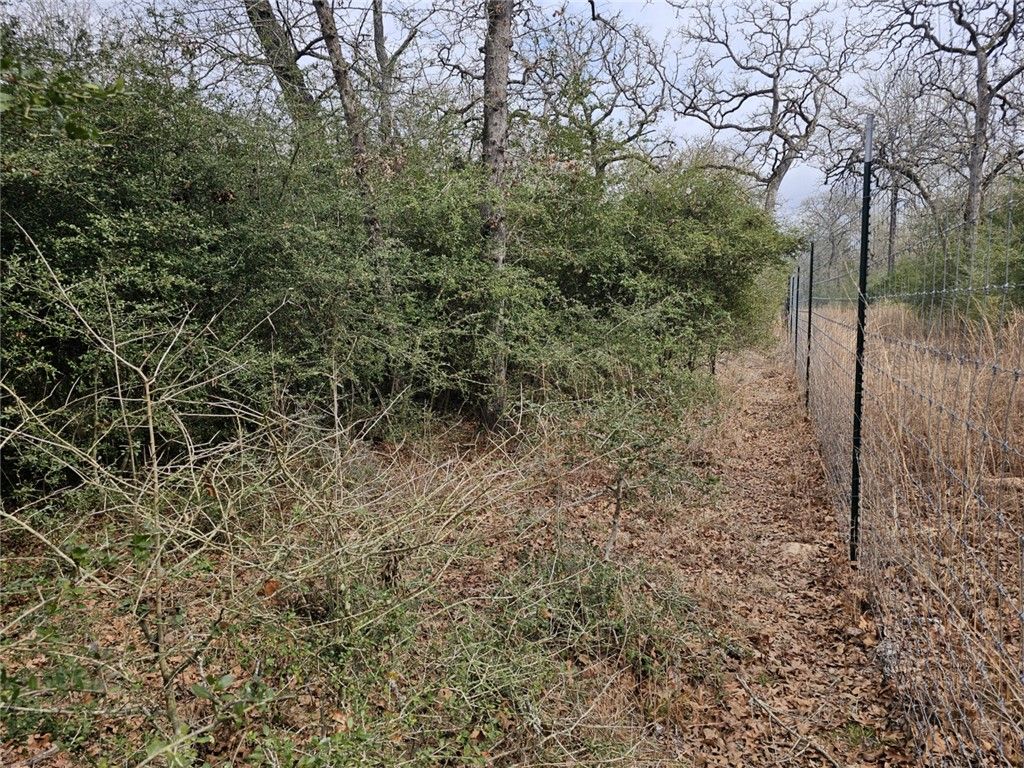 TBD Jackrabbit Lane, Bryan, TX 77808 — photo 5