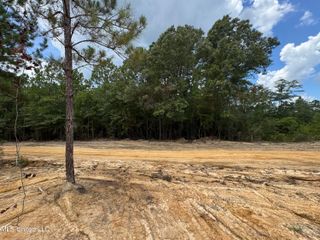 00 Joshua Road, Mchenry, MS 39561