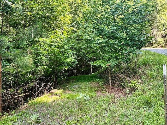 LOT 26 Toccoa Preserve, Blue Ridge, GA 30513
