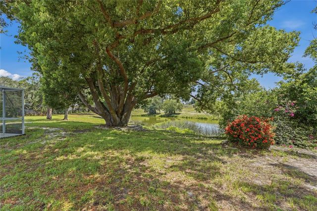 505 BAMBOO COURT, Tarpon Springs, FL 34689