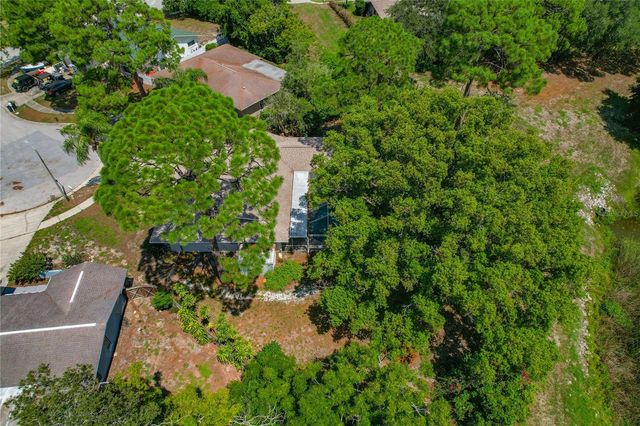 505 BAMBOO COURT, Tarpon Springs, FL 34689