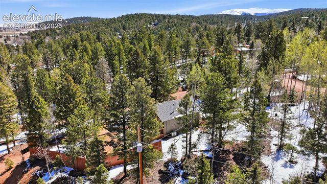 747 Trout Haven Road, Florissant, CO 80816