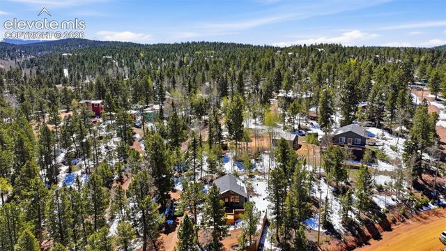 747 Trout Haven Road, Florissant, CO 80816