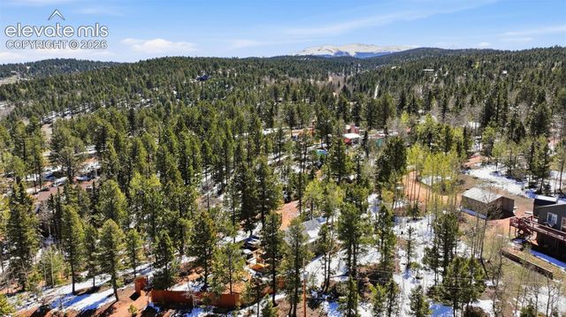 747 Trout Haven Road, Florissant, CO 80816