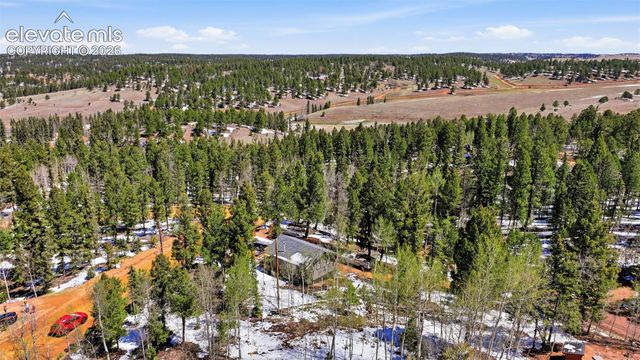 747 Trout Haven Road, Florissant, CO 80816