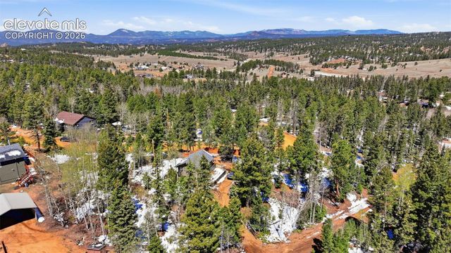 747 Trout Haven Road, Florissant, CO 80816