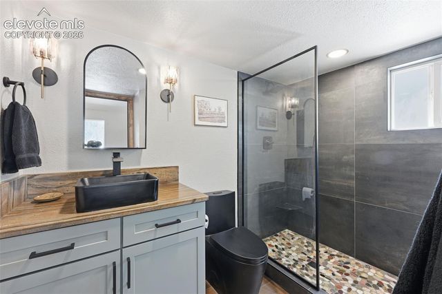 747 Trout Haven Road, Florissant, CO 80816