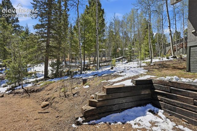 747 Trout Haven Road, Florissant, CO 80816