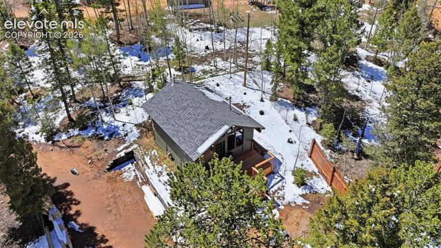 747 Trout Haven Road, Florissant, CO 80816