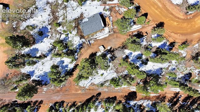 747 Trout Haven Road, Florissant, CO 80816