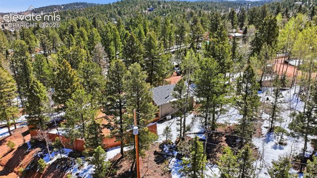 747 Trout Haven Road, Florissant, CO 80816