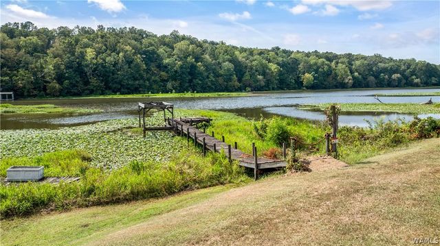 16760 N River Shores, Northport, AL 35475