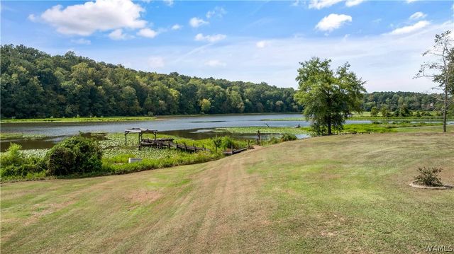 16760 N River Shores, Northport, AL 35475