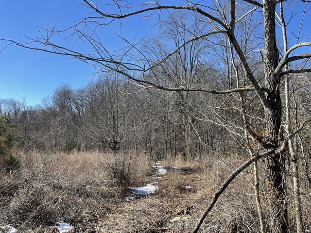 0 Kacie Drive, Pleasant View, TN 37146