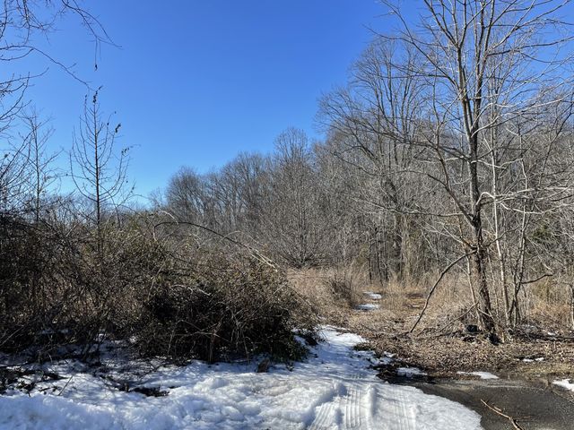 0 Kacie Drive, Pleasant View, TN 37146