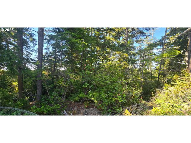 21500 Birch Pl, Ocean Park, WA 98640