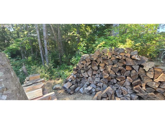 21500 Birch Pl, Ocean Park, WA 98640