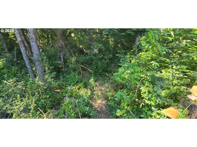 21500 Birch Pl, Ocean Park, WA 98640