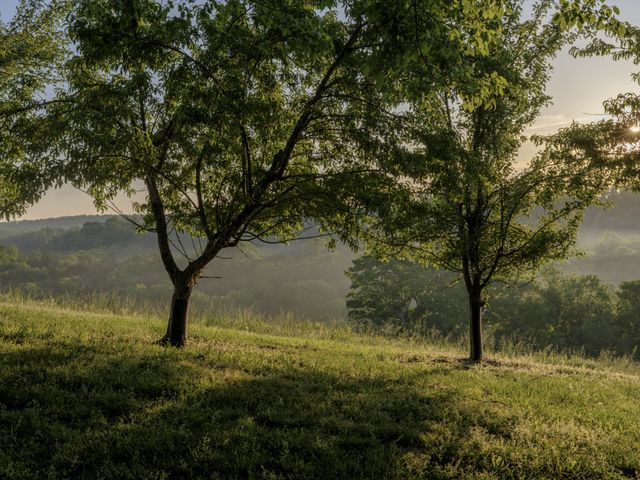 3210 Morel Rd, Columbia, TN 38401