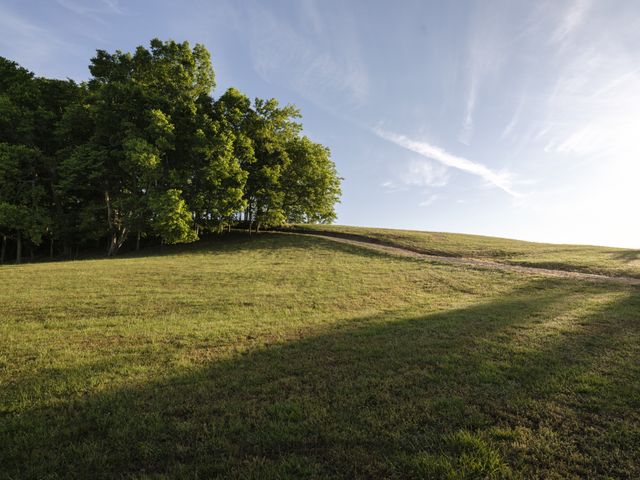 3210 Morel Rd, Columbia, TN 38401