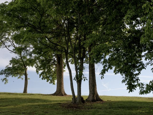 3210 Morel Rd, Columbia, TN 38401