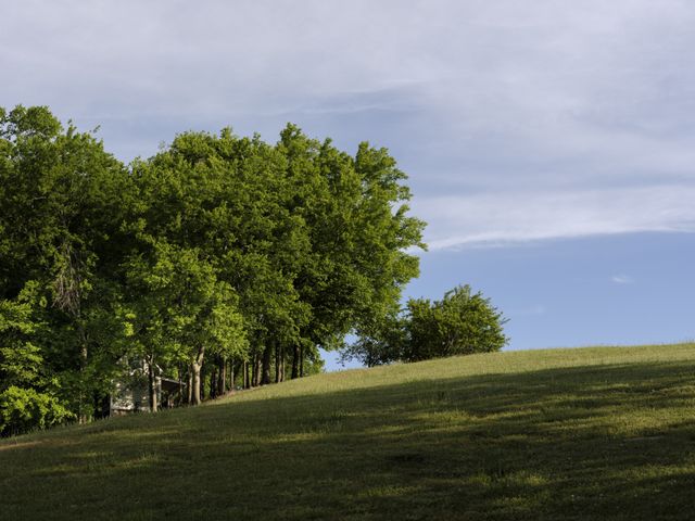 3210 Morel Rd, Columbia, TN 38401