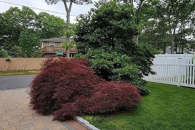 2811 Pine Avenue, Ronkonkoma, NY 11779