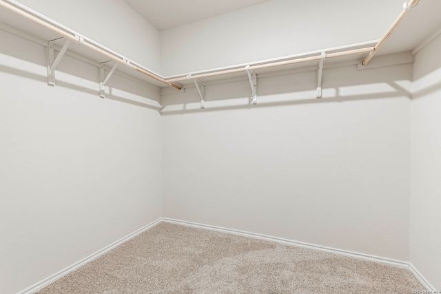 832 Indian Mallow, Seguin, TX 78155