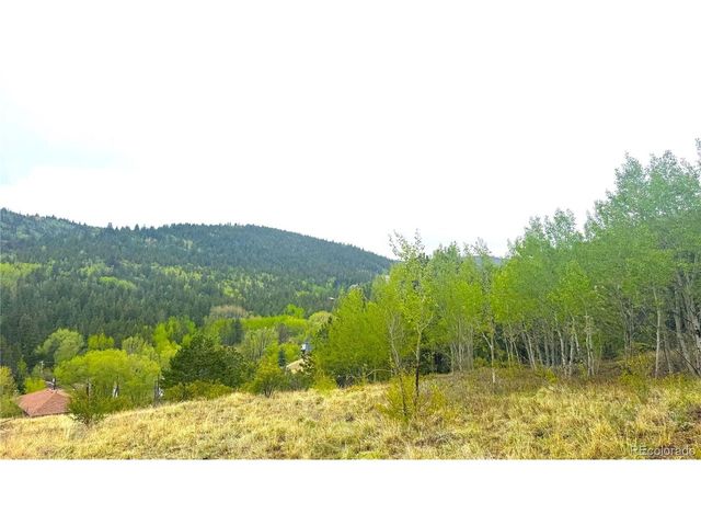 3 Eureka St, Central City, CO 80427