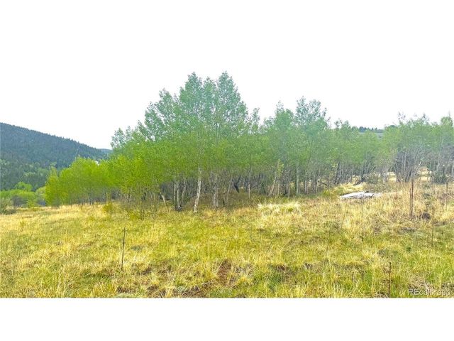 3 Eureka St, Central City, CO 80427