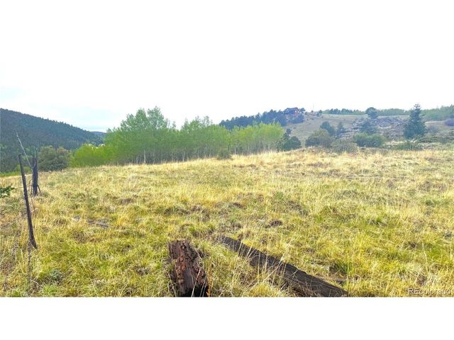 3 Eureka St, Central City, CO 80427