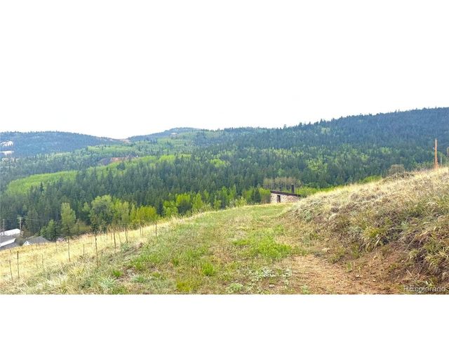 3 Eureka St, Central City, CO 80427