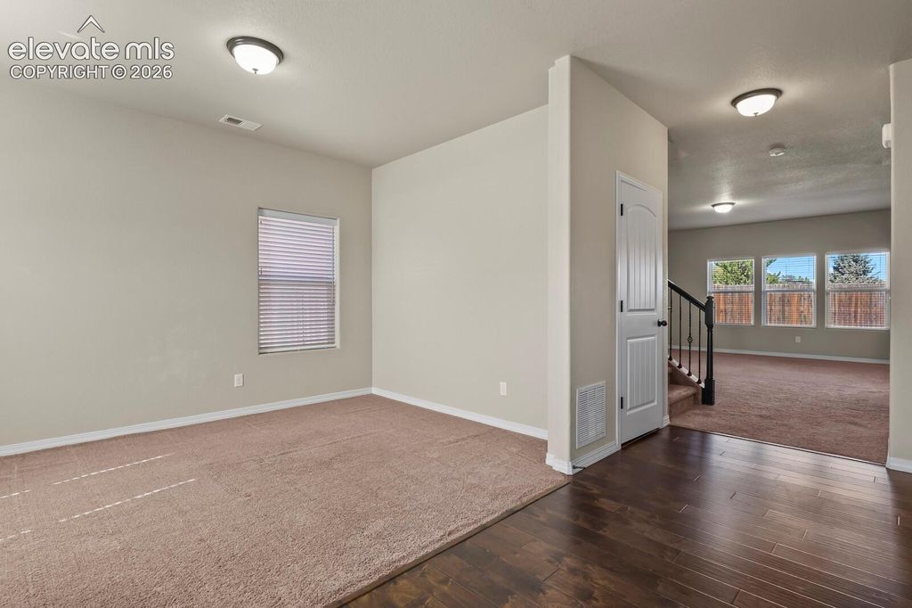 7310 Thorn Brush Way, Colorado Springs, CO 80923 — photo 4