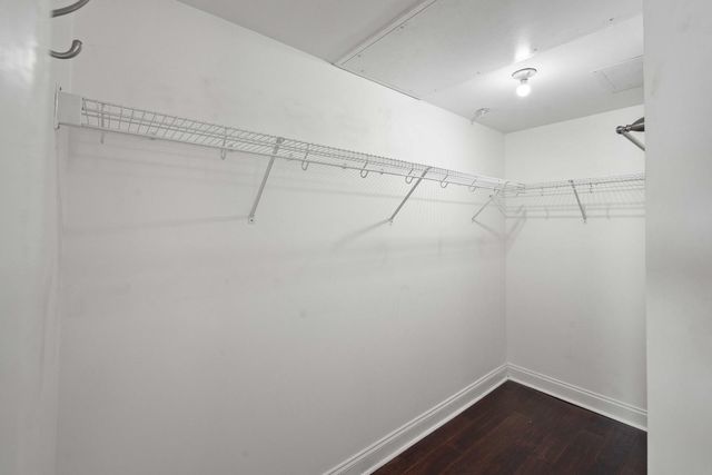 21 George Street 203, Charleston, SC 29401