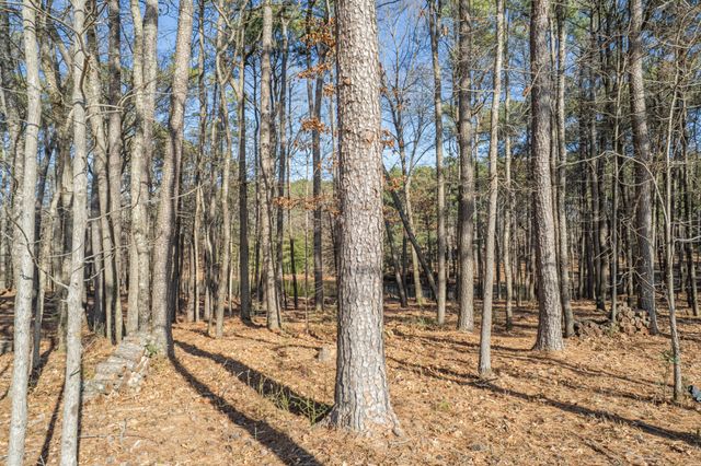 0 Beard Rd, Santa Fe, TN 38482