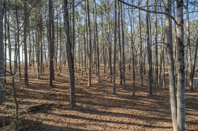 0 Beard Rd, Santa Fe, TN 38482