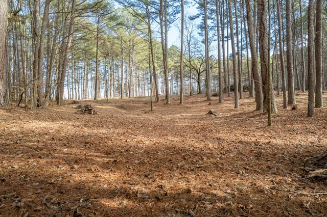 0 Beard Rd, Santa Fe, TN 38482