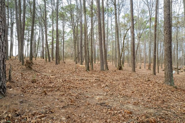 0 Beard Rd, Santa Fe, TN 38482