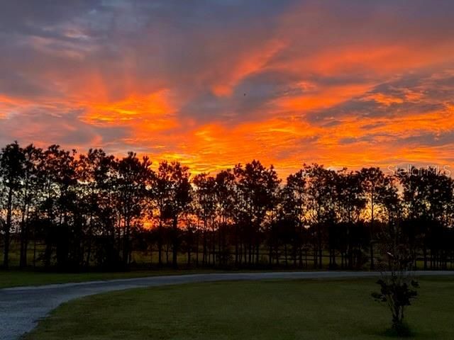 35005 CLAY GULLY ROAD, Myakka City, FL 34251