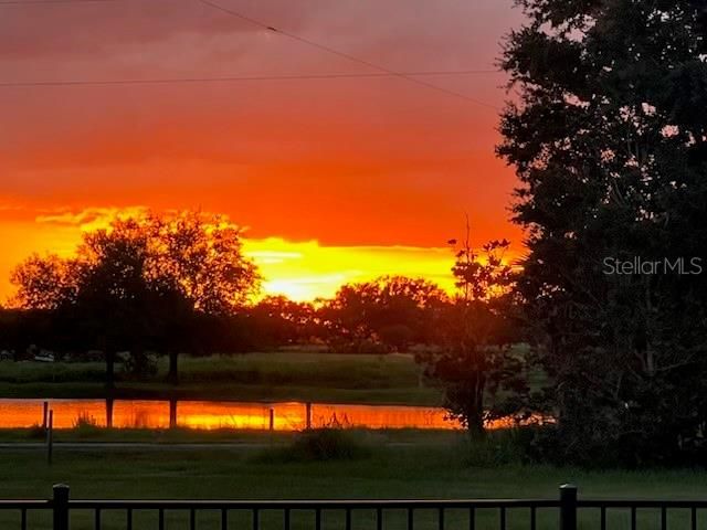 35005 CLAY GULLY ROAD, Myakka City, FL 34251