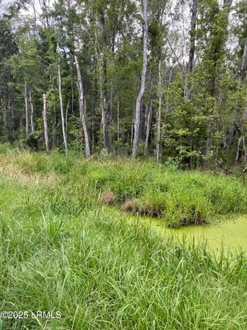 69 Jacob White Road, Yemassee, SC 29945