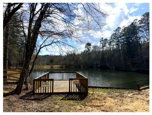 87 Harbin Court, Morganton, GA 30560