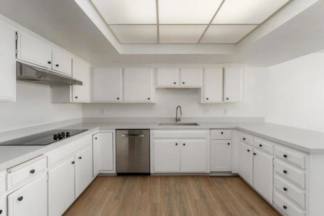 2420 Torrey Pines Road B303, La Jolla, CA 92037