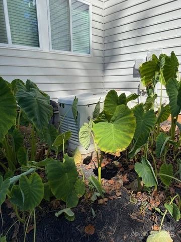 10219 Windtree Lane, Charlotte, NC 28215