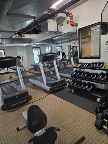 811 W 15th Place 703, Chicago, IL 60608