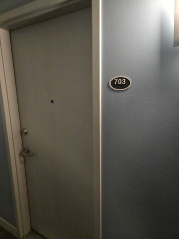 811 W 15th Place 703, Chicago, IL 60608