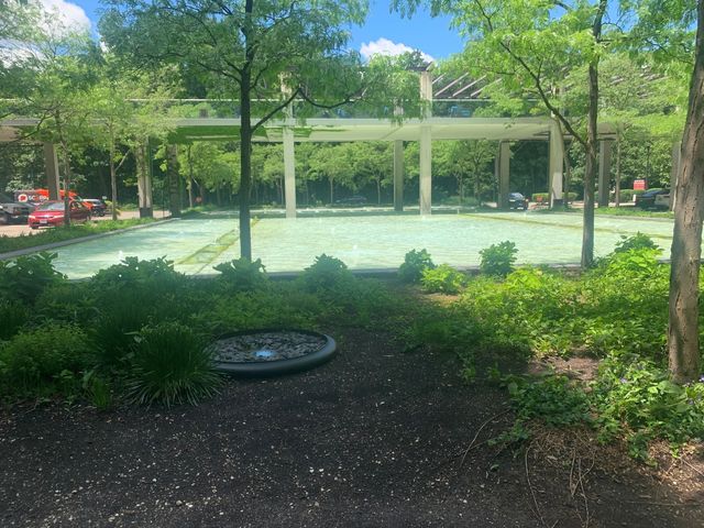 9655 Woods Drive 1208, Skokie, IL 60077