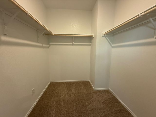 499 Avre LOOP, Kyle, TX 78640