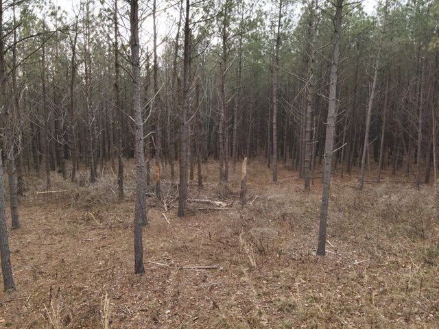 3105 Waynesboro Hwy, Hohenwald, TN 38462