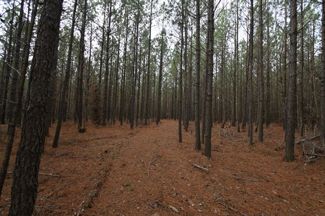 3105 Waynesboro Hwy, Hohenwald, TN 38462